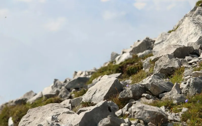 Альпийские горки