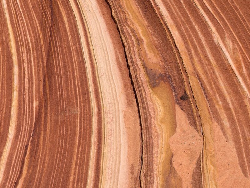 Autumn Brown — текстура камня