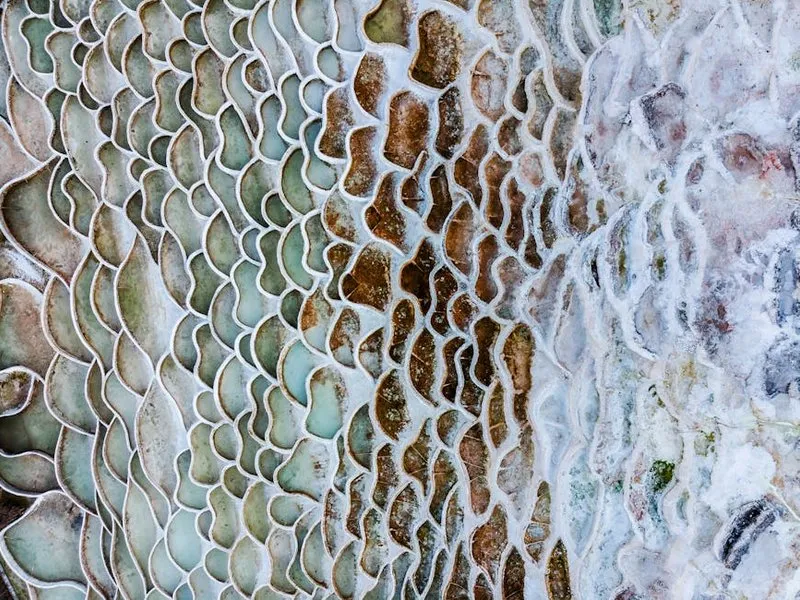 Травертин Gold — текстура камня