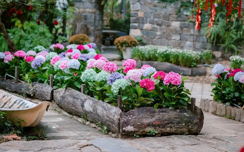 Клумбы и цветники