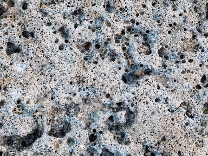 Меотис Меотис Крымский — текстура камня