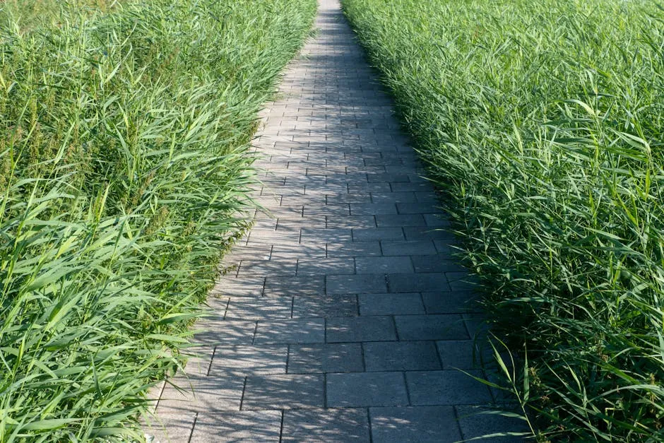 Мощение песчаником