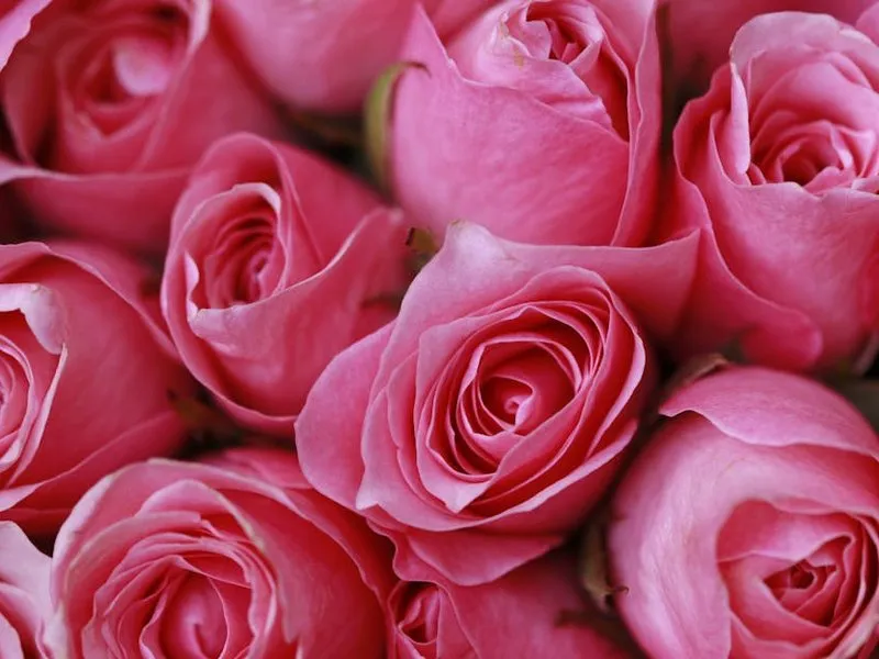 Травертин Rose — текстура камня