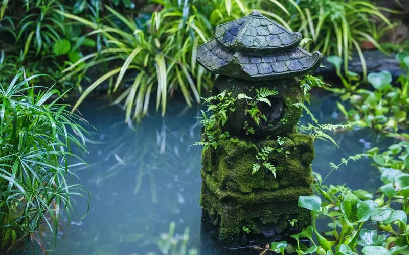 Водоёмы и пруды