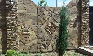 337.jpg