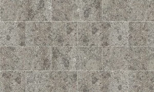 409-1647007898.jpg