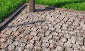 449.jpg