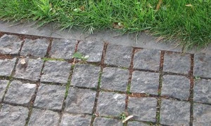 451.jpg