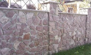 454-1647010555.jpg