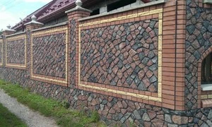 457-1647010558.jpg