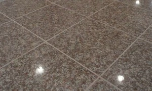 471-1647007685.jpg