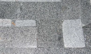 473-1647007688.jpg