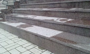 491-1647010388.jpg
