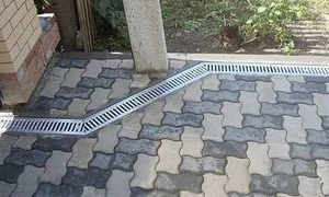 769.jpg